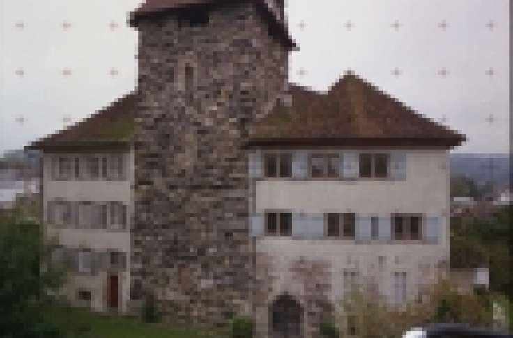 CAD Planerstellung Schloss Frauenfeld, 2D Fassadenpläne, 2D Grundrisspläne, 2D Schnittpläne, 2D Umgebungsplan, 3D Visualisierung Gebäudekubus