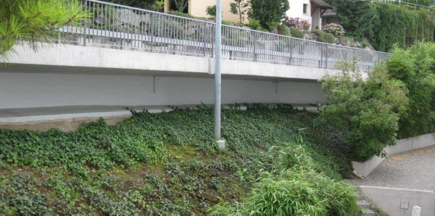 Sanierung Trottoirauskragung Hafen 
8832 Wollerau, Sanierung des gesamten Bauwerkes mit Teilabbruch und Neubau., Stabilisierung des Bauwerkes mittels Micropfählung.