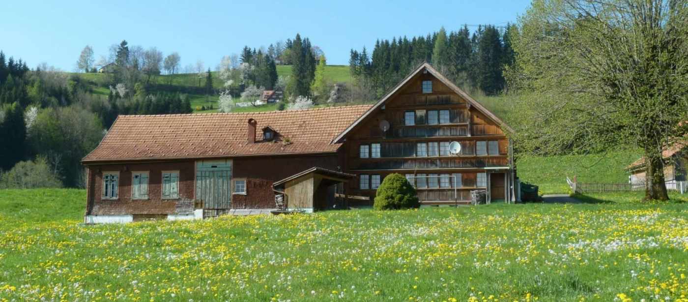 Architekturvermessung
Bauernhaus Stelz, Teufen, Gebäudeaufnahmen:, 2D Fassadenpläne, 2D Grundrisspläne, 2D Schnittpläne