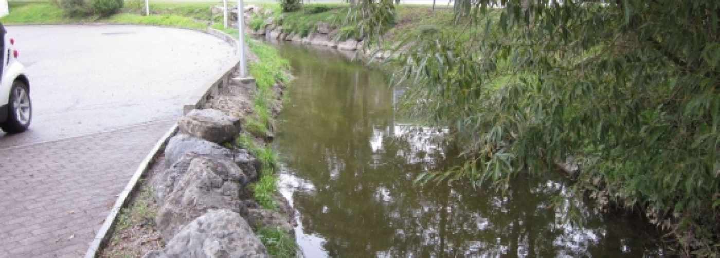 Sanierung Krebsbach Wollerau, Beschaffen Grundlagen, Konzeption, Erstellung eines Bauprojektes.