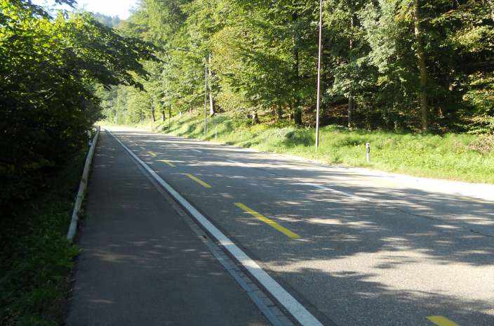 Lückenschliessung Radweg Sihltal, Vorprojekt mit folgenden Zielen:, Belagssanierung, Definition/Abgrenzung Normstrassenraum, Bushaltestelle bei Station Sihlbrugg (Option), abgetrennter Rad- und Gehweg, geschützte Rad- und Fussgängerübergänge