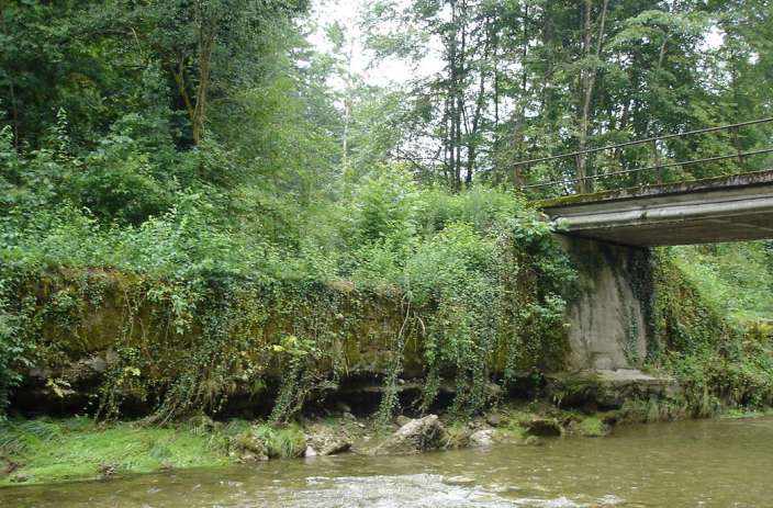 Ufersanierung Jonafluss Grunau Jona, Grundlagenbeschaffung, Feldaufnahmen, Vorprojekt, hydraulische Überprüfung, Kostenvoranschlag, Devisierung, Ausschreibung und Offertvergleich, Ausführungsprojekt, Örtliche Bauleitung, Ausmass und Abrechnung