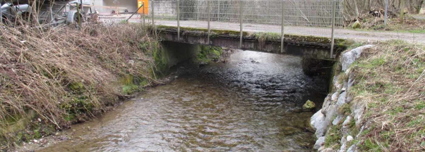 Abschätzung Hochwassersituation Durchlass Brücke Lattenbach, Jona, Grundlagen aufbereiten, Feld- und Profilaufnahmen, Hydraulische Berechnungen, Abschätzen Schadenpotenzial und Aufzeigen Überflutungsperimeter