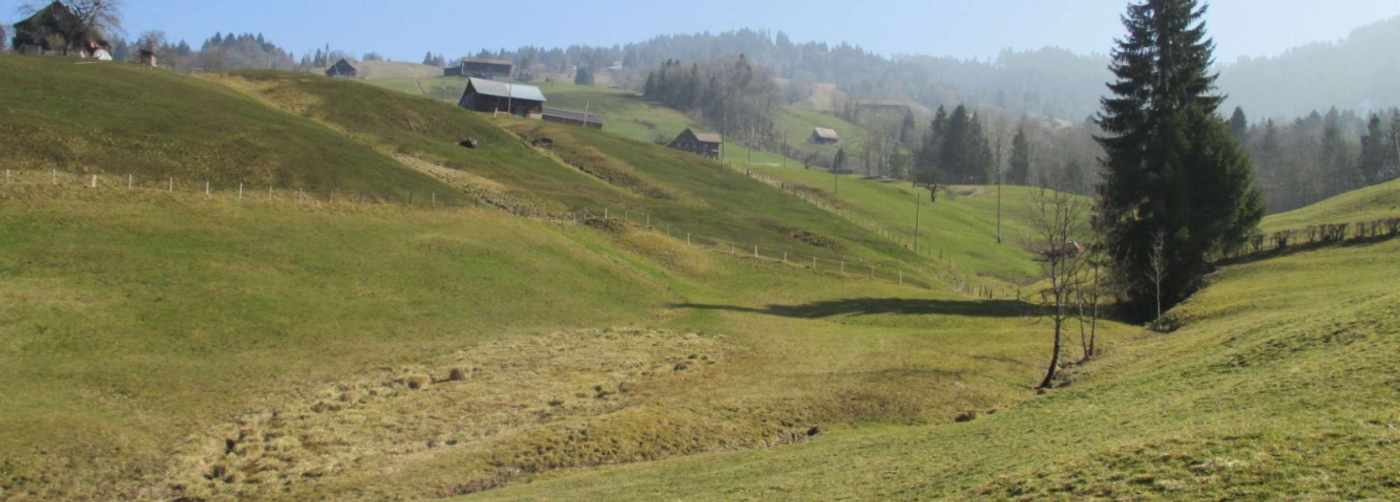 Machbarkeit Bachverlegung Deponie Unterstöss, Vorderthal, Aufarbeiten Grundlagen, Erstellen Grundlagenplan mit Höhenkurven, Deponieverlauf, Bacheinzugsgebiet, Hydraulische Einzugsgebiets- und Hochwasserabschätzung, Erarbeiten Bachumlegungsvarianten und Variantenvergleich (etappiert)