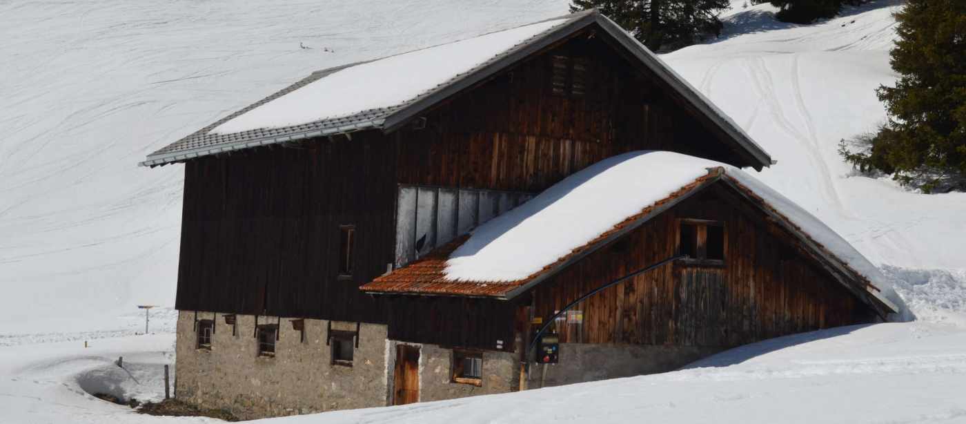 Architekturvermessung
Viehstall Schamuela, Lenzerheide, Gebäudevermessung:, Fassadenpläne, Grundrisse, Schnitte