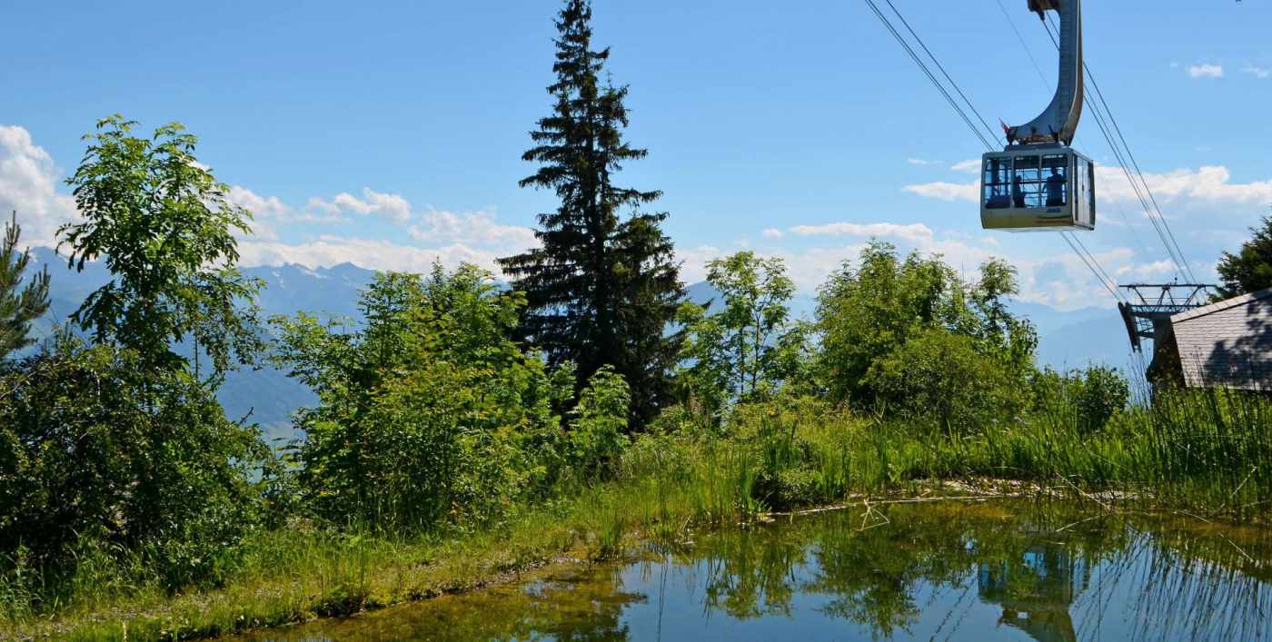 Luftseilbahn Weggis, Rigi Kaltbad, Überwachung der bisherigen Masten, Erstellen Fixpunktnetz, Digitales Geländemodell, Diverse Absteckungen, Architekturvermessung