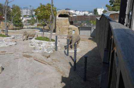 Neubau Elefantenpark
Knies Kinderzoo Rapperswil, Projektierung und Baukontrolle der Tragkonstruktion in Massivbauweise, der Baugruben und der Pfahlfundationen.