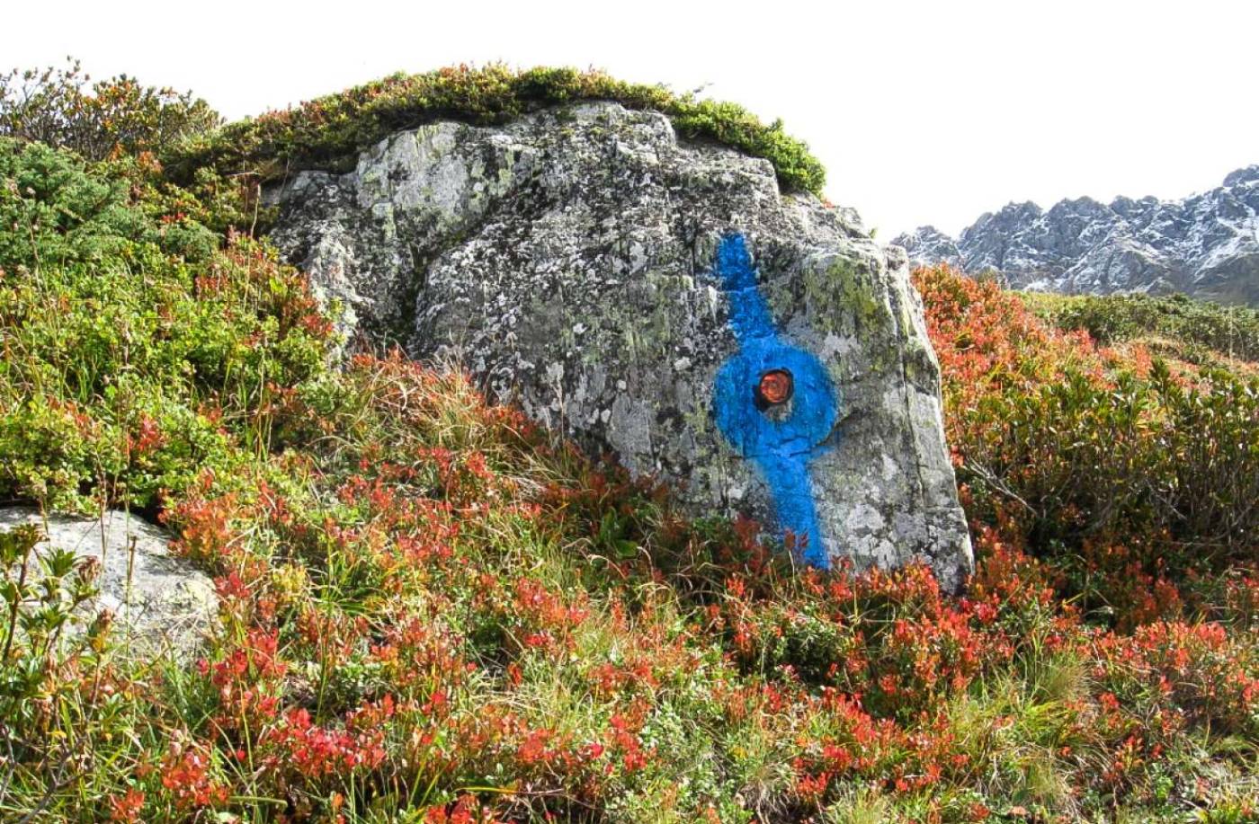 Kontrollmessung Speichersee Scharmoin Periodische Überwachungsmessungen, Erstellung Fixpunktnetz, Installation Überwachungspunkte, Messung Überwachungspunkte mittels Nivellement, Tachymetrie und GNSS