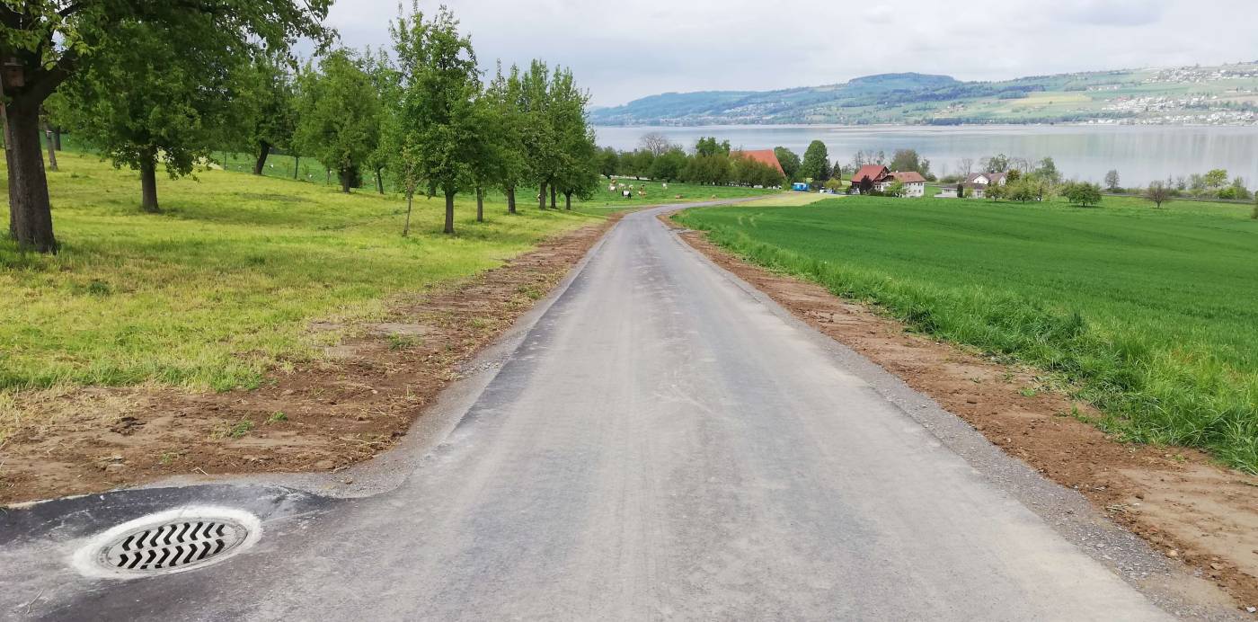 Sanierung und Verbreiterung Güterstrasse Eggerswil-Cholholz, Nottwil, Vorprojekt, Bauprojekt, Ausführungsprojekt, Bauleitung