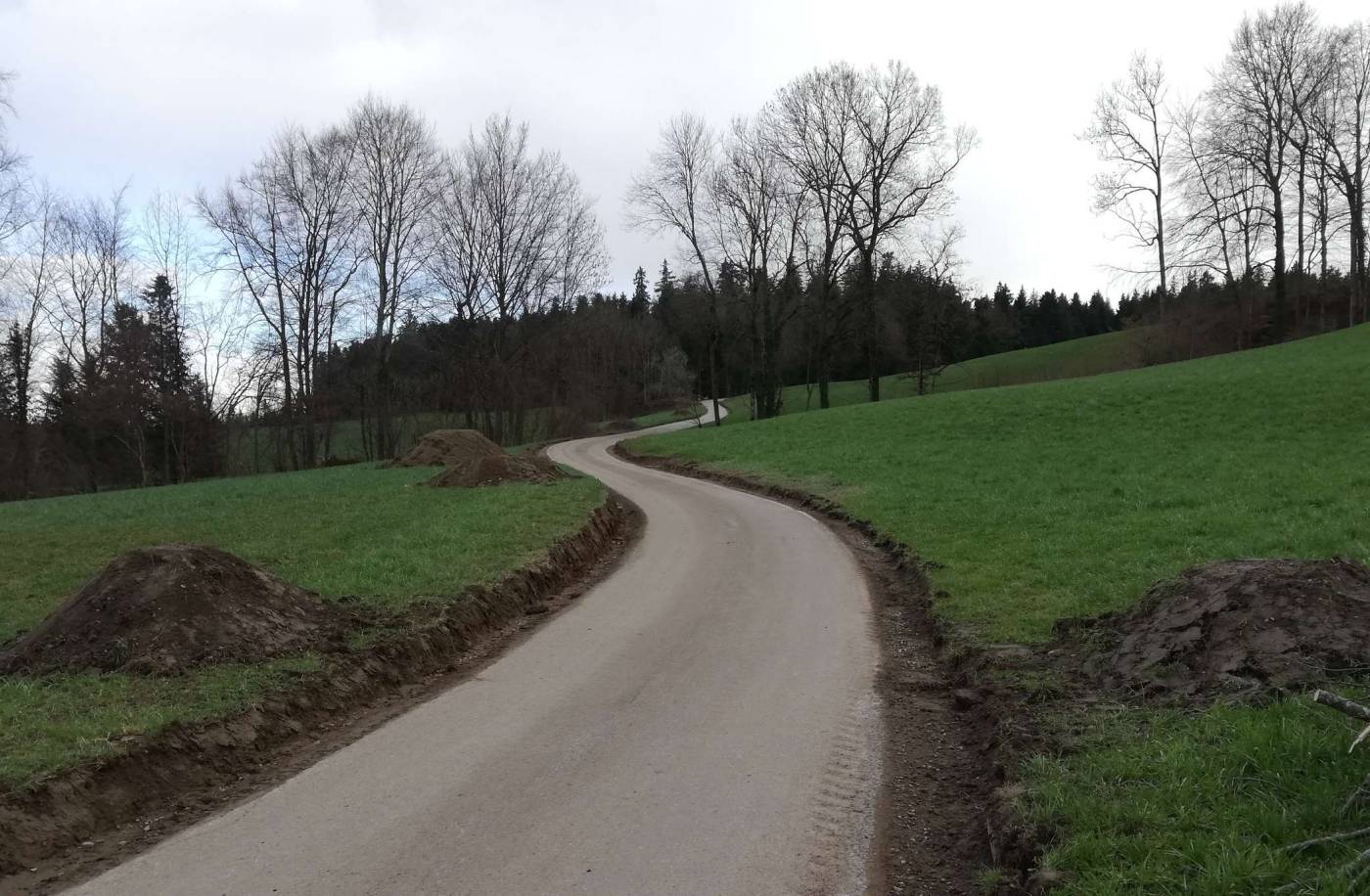 Sanierung und Verbreiterung Güterstrasse Eggerswil-Cholholz, Nottwil, Vorprojekt, Bauprojekt, Ausführungsprojekt, Bauleitung