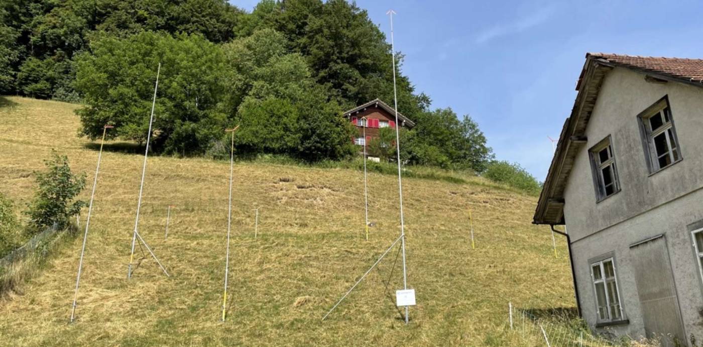 Neubau MFH Gubelweg 11, 8497 Fischenthal, Absteckung und Erstellen des Baugespanns.