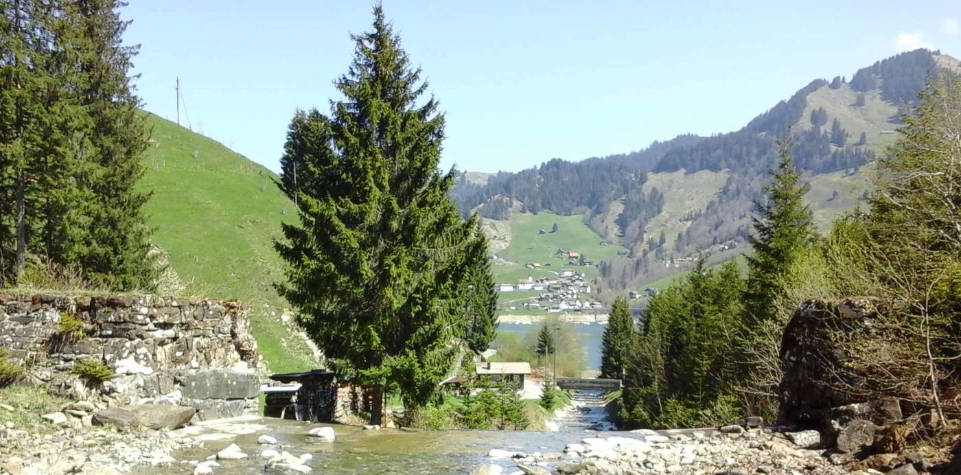 EN Innerthal, Lose 7, 8, 9, Erneuerung der Daten der amtlichen Vermessung in der ganzen GemeindeInnerthal (5014 ha)