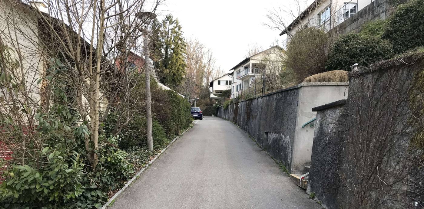 Quartierplan Blumenweg, Stäfa, Unterstützung der Grundeigentümer, Planung der Erschliessungsanlagen, Neuordnung der Grundbuch- anmerkungen und Dienstbarkeiten, Kostenteiler und Kostenverleger, Kontakt mit kantonalen Amtsstellen und der Gemeindeverwaltung, Durchführung von Grundeigentümer- versammlungen