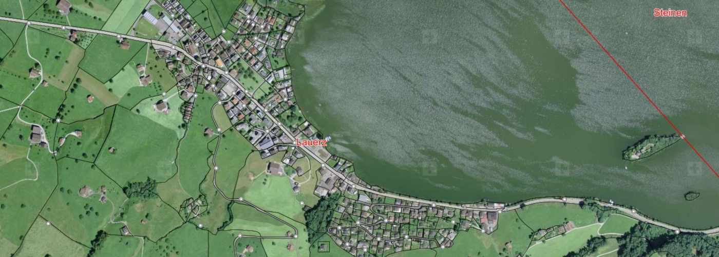 Generelles Wasserprojekt (GWP), Lauerz, Grundlagenbeschaffung, Grundlagenstudium und Begehungen, , , Studie der künftigen Wasserversorgungsausbauten mit Übersichtsplan inkl. Netzberechnungen mit NEPLAN, Schemaplan und Technischer Bericht