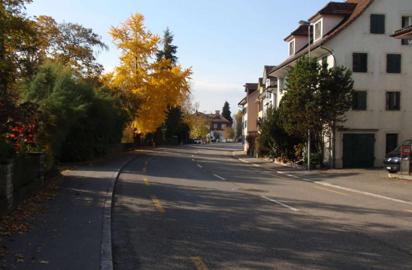 Betriebskonzept Seestrasse, Stäfa, Fotodokumentation und Zustandsplan, Analyse Angebot und Nachfrage Fussgänger-/Radwegnetz undParkfelder, Zieldefinition, Machbarkeits- und Variantenstudium, Unterstützung für Vernehmlassung, Plandarstellung Stufe Studie