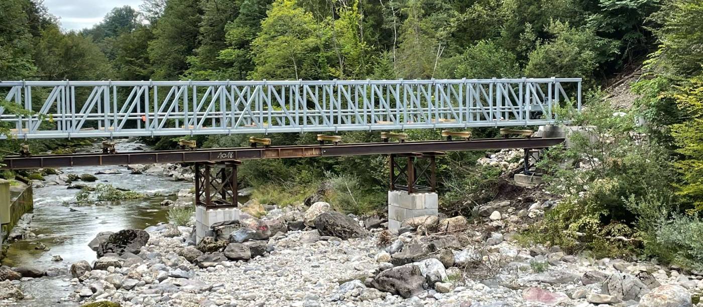 Ponte pedonale e per condotte, Wollerau, Progettazione, Realizzazione, Direzione lavori generale